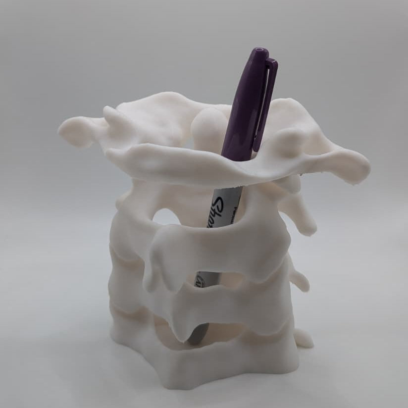 Lapicero columna vertebral