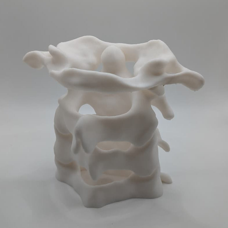 Lapicero columna vertebral